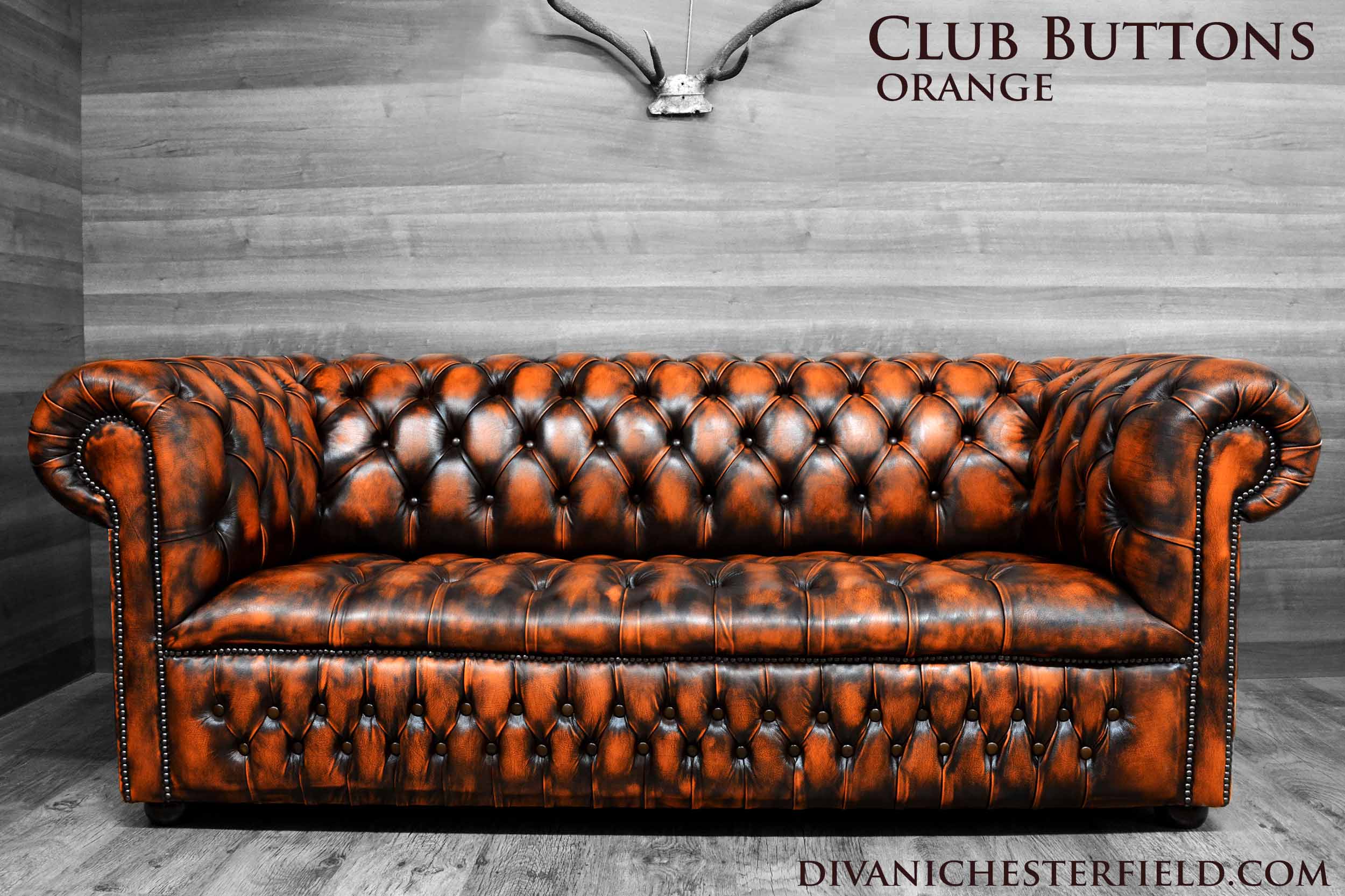 modern chesterfield sofa orange leather