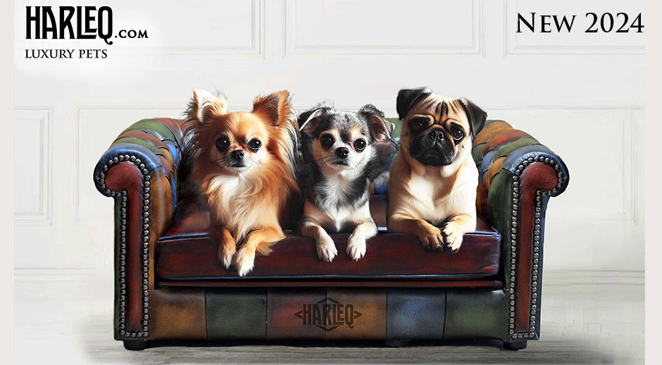 dog sofas chesterfield couch for pets leather patchwork
